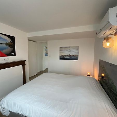 "Gite Le Relais Viennois" Vue Sur Loire & Linge Inclus Блуа Екстер'єр фото