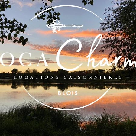 "Gite Le Relais Viennois" Vue Sur Loire & Linge Inclus Блуа Екстер'єр фото